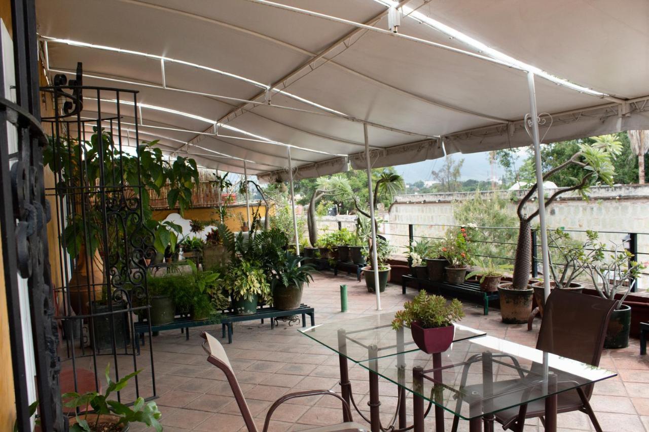 Hotel Boutique Casa Catrina Oaxaca Ngoại thất bức ảnh